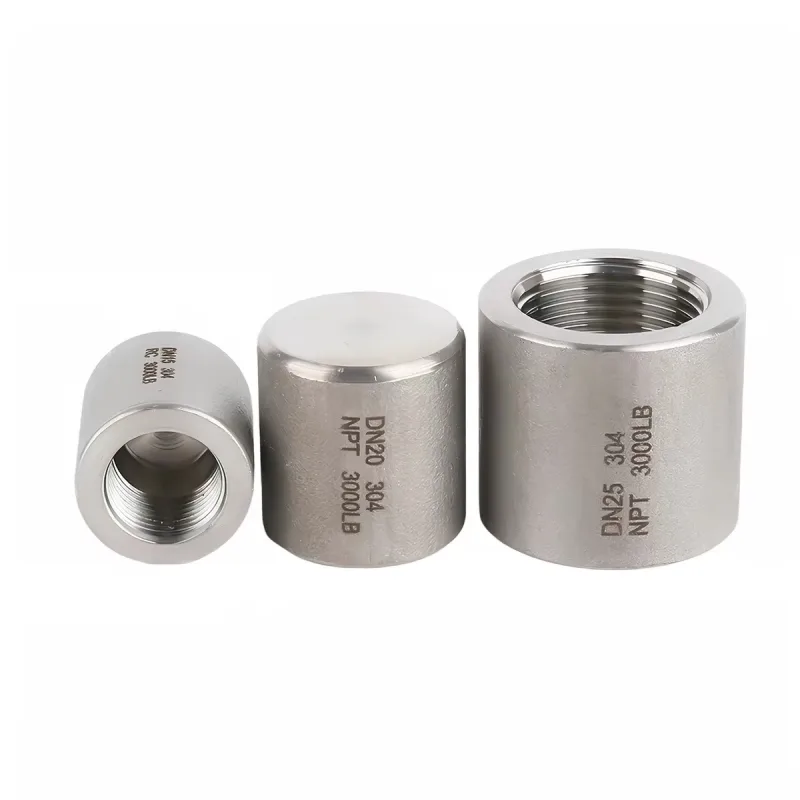 Bouchons de tuyaux filetés en acier inoxydable forgé 3000LB